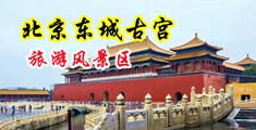 黄色黑丝操逼网站中国北京-东城古宫旅游风景区